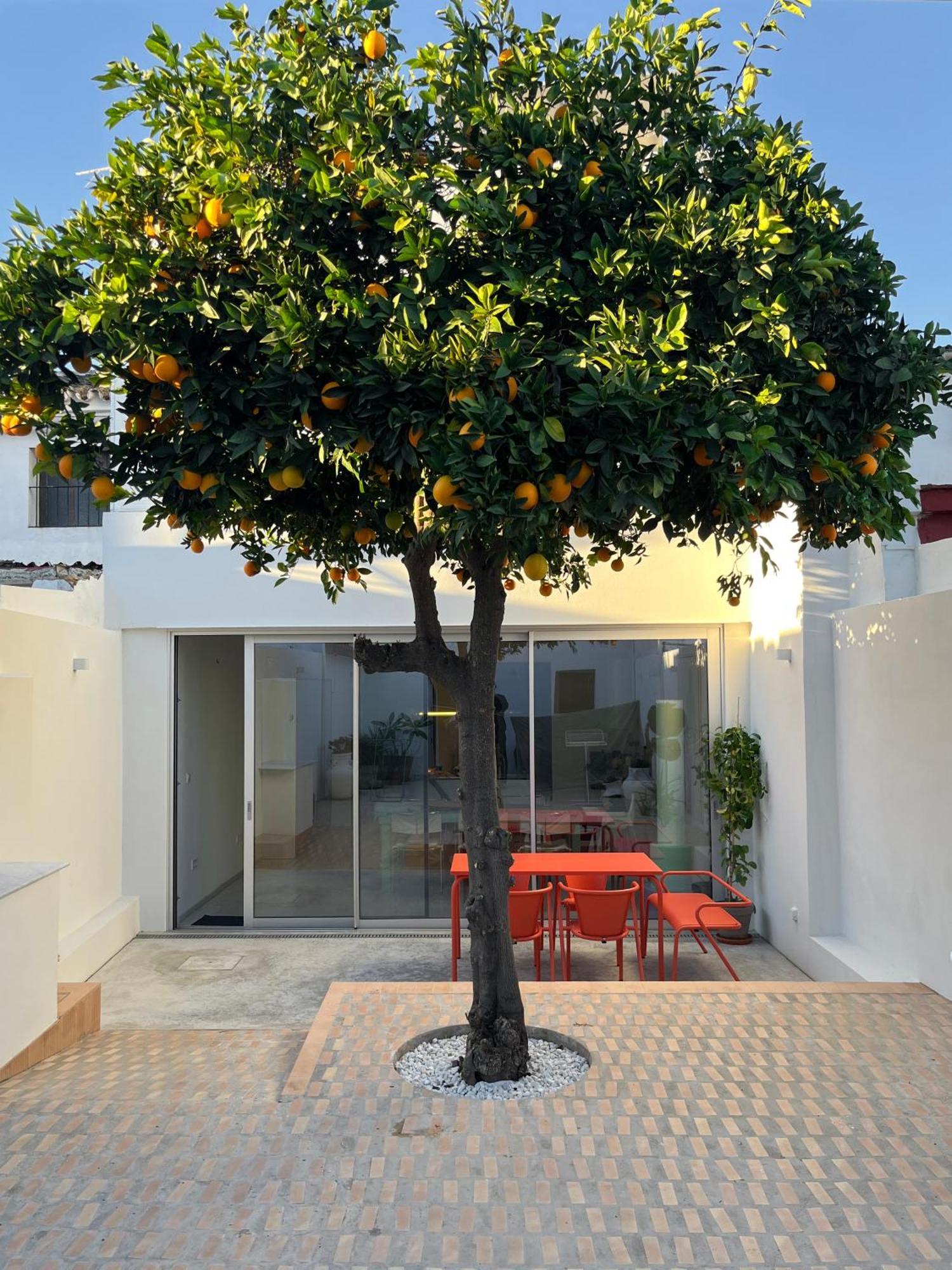 Design & Art, Patio With Orange Tree, Near Seville Carrion de Los Cespedes Exterior foto