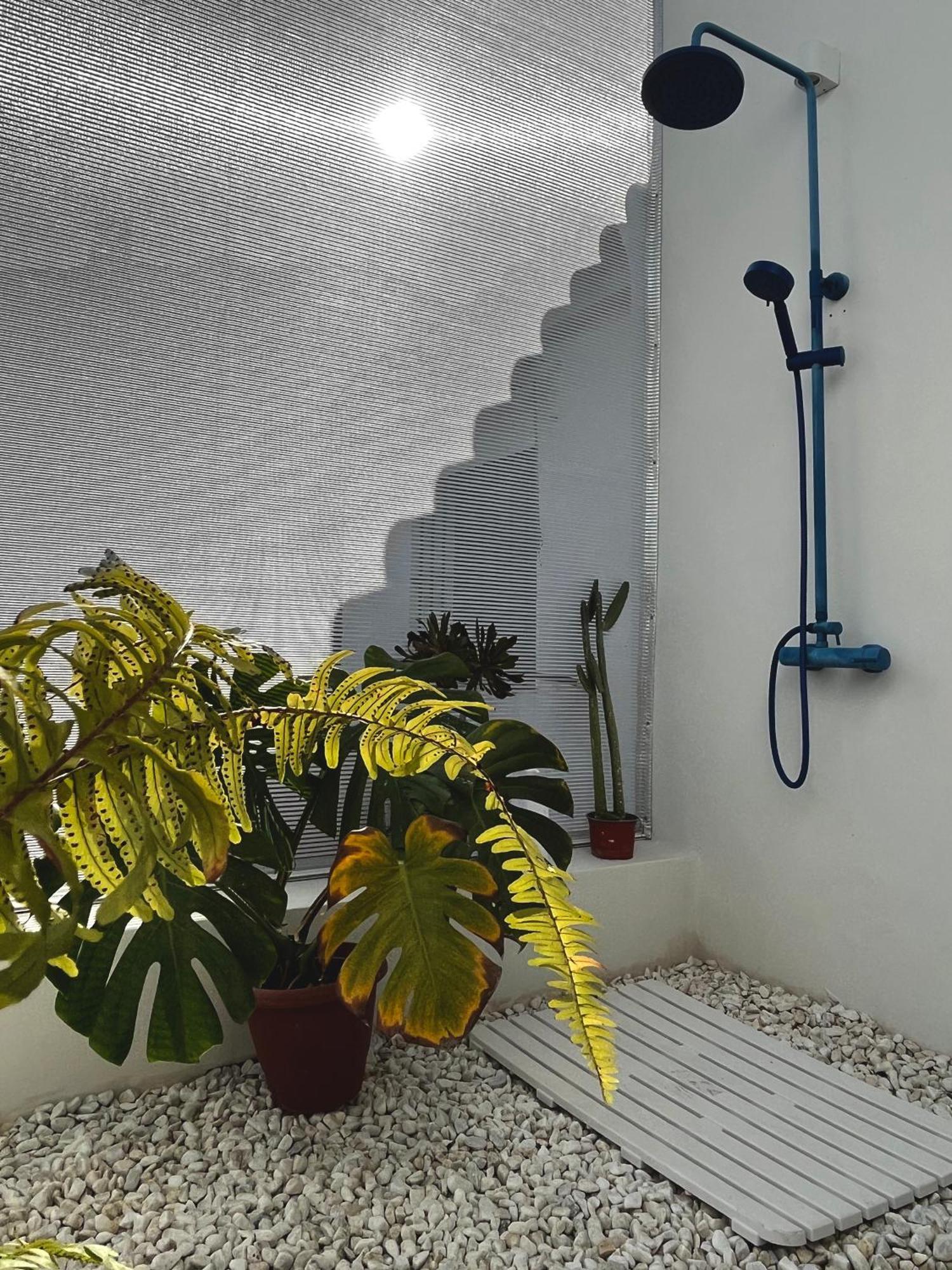 Design & Art, Patio With Orange Tree, Near Seville Carrion de Los Cespedes Exterior foto